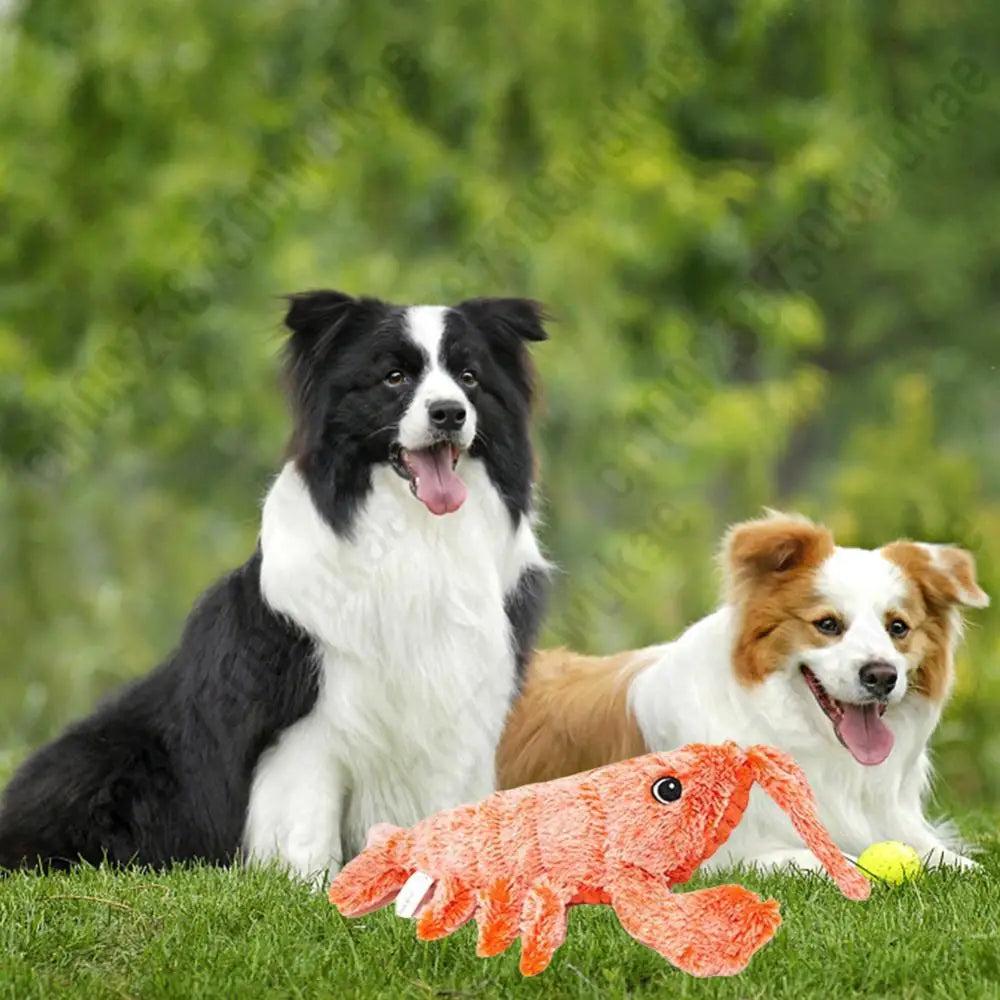 LobsterWiggle – Electric Plush Lobster Toy