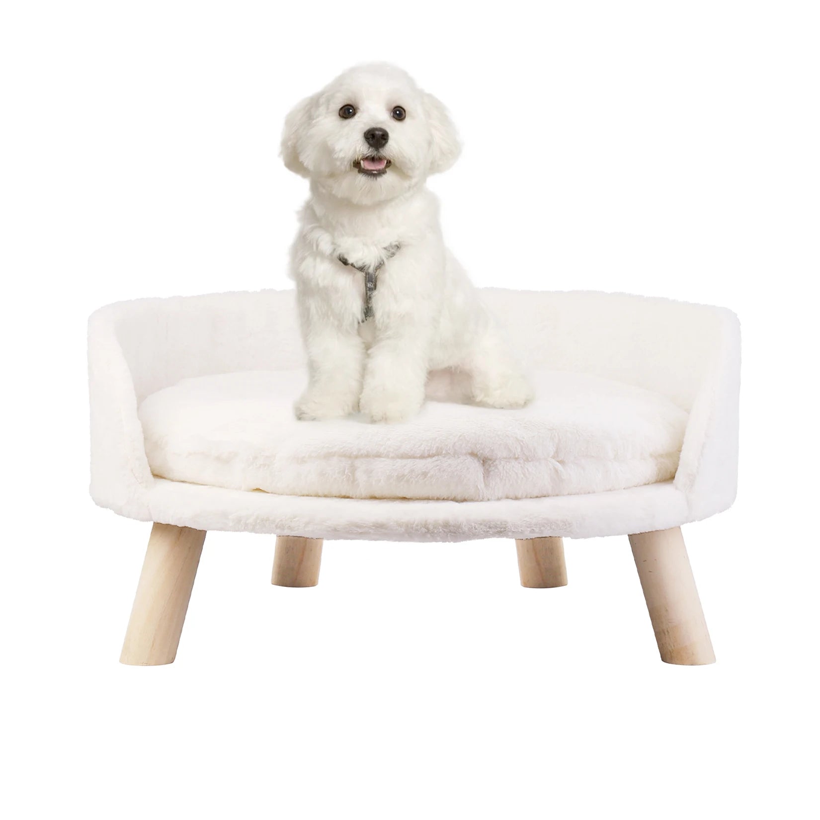 Pet Sofa Bed Raised Cat Chair – Small Dog Couch Bed with Removable Cushion - My Fur Baby