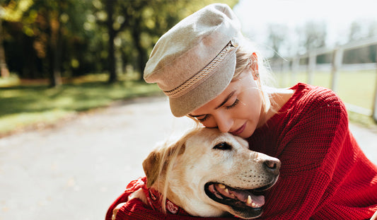 Why Smart Pet Accessories Are the Future of Pet Care