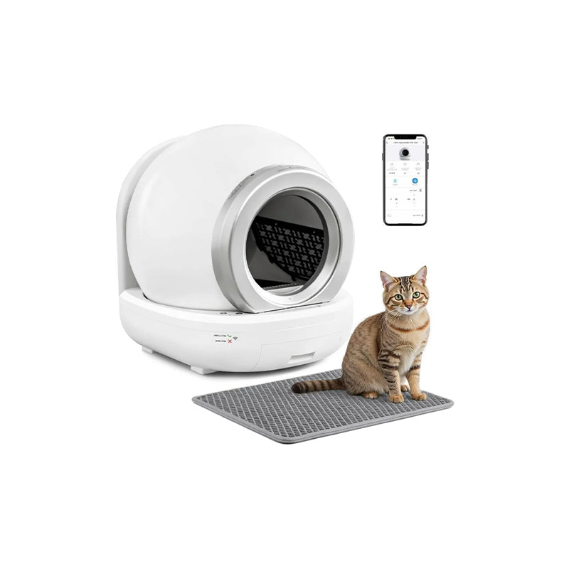 Smart Tech & Accessories