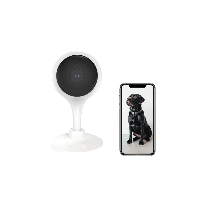 Safety & Home Monitoring