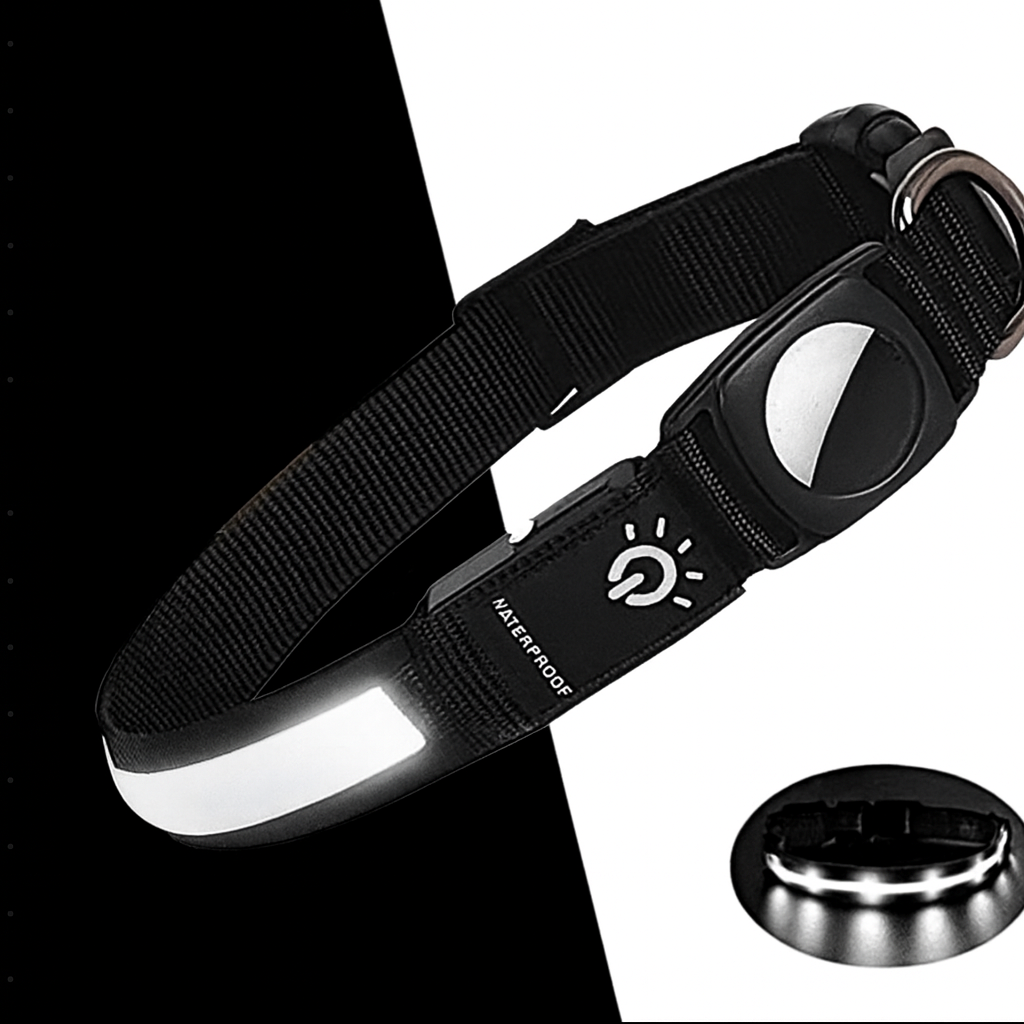GlowTrack -LED Waterproof Dog Collar - My Fur Baby