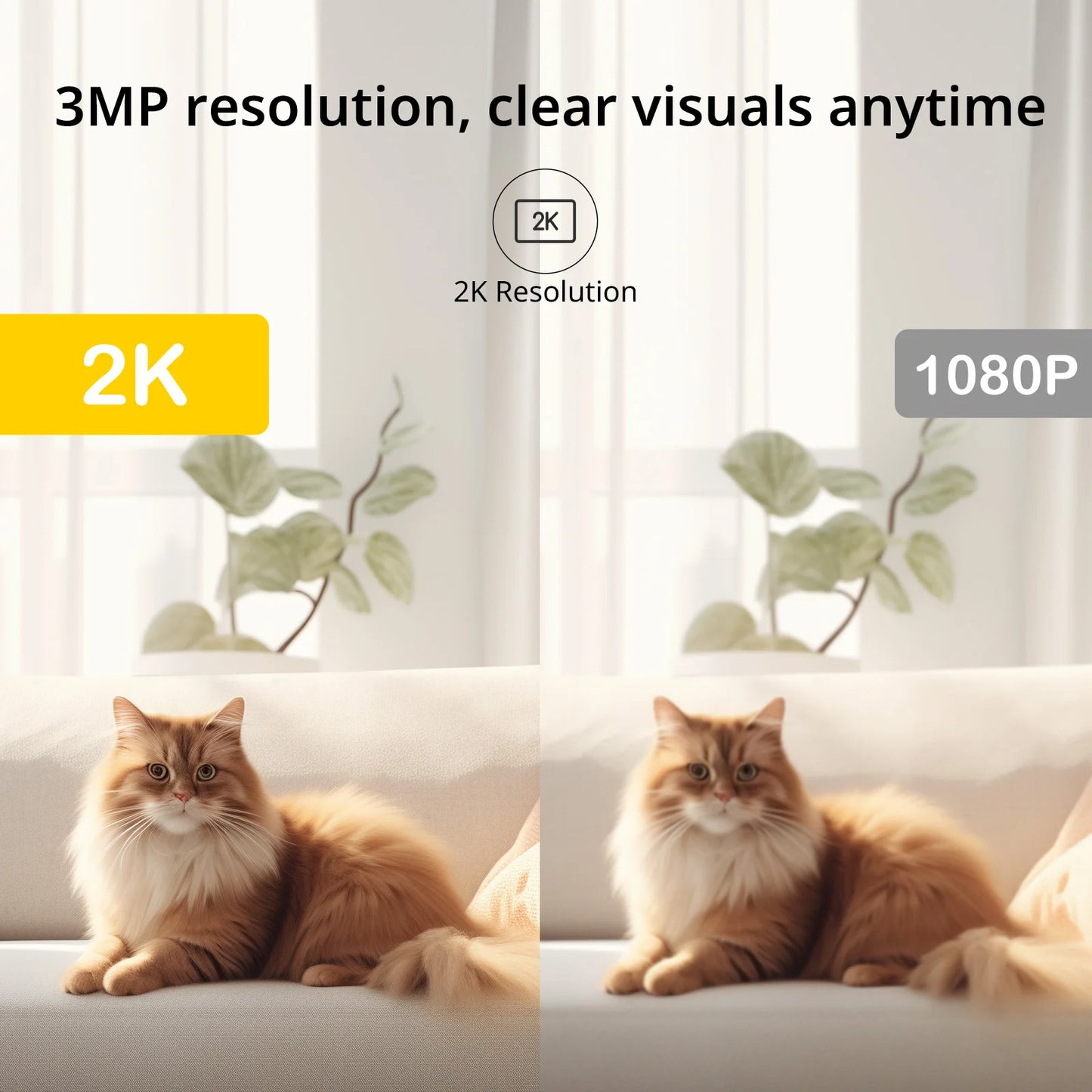 Smart 3MP Indoor WiFi Camera – Dual-Band Home Security for Pet  monitoring - My Fur Baby