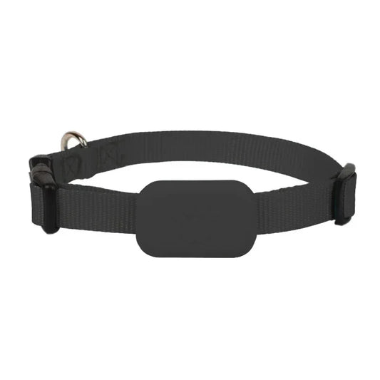 PawPing- Mini Waterproof GPS Pet Tracker Collar - My Fur Baby