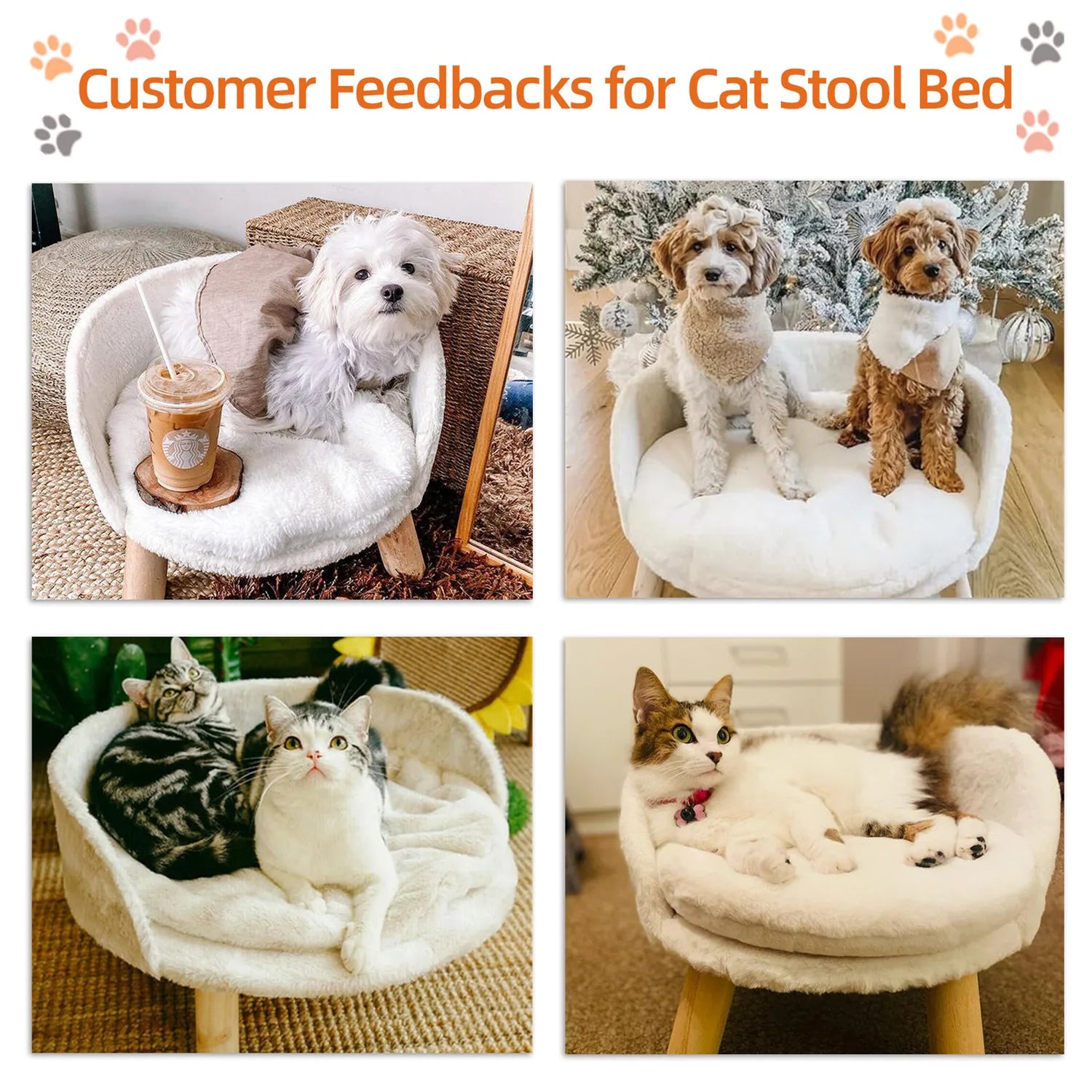 Pet Sofa Bed Raised Cat Chair – Small Dog Couch Bed with Removable Cushion - My Fur Baby