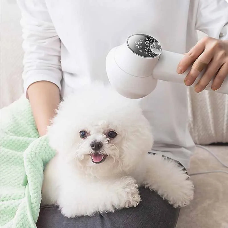 Smart Pet Hair Dryer Comb – 2-in-1 Drying & Grooming Tool for Dogs & Cats - My Fur Baby