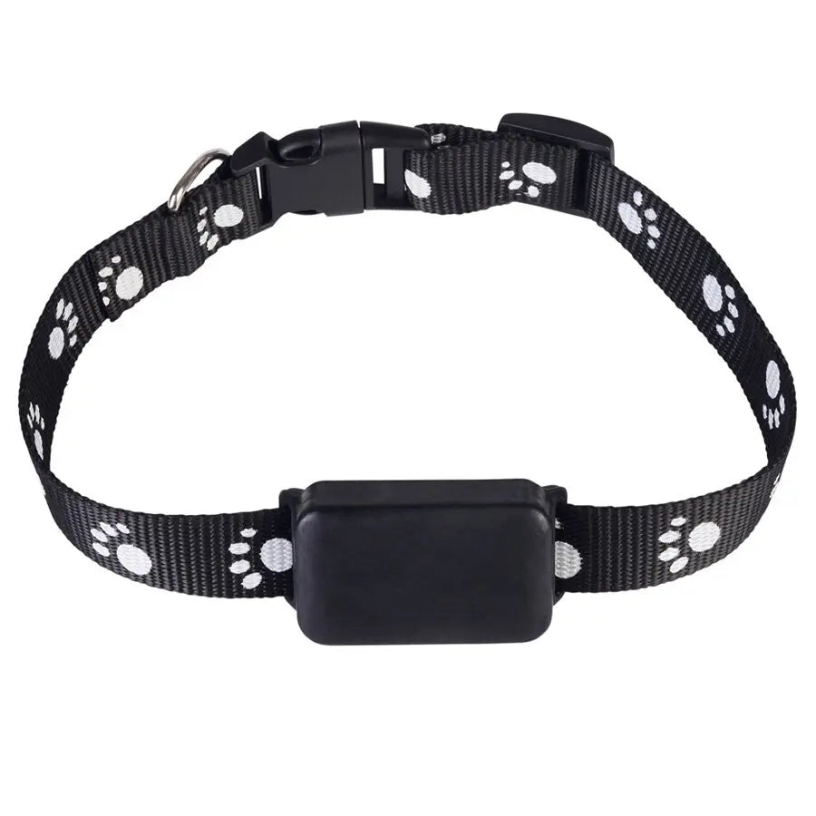 Waterproof Pet GPS Tracker Collar – Real-Time Tracking with No Monthly Fees - My Fur Baby