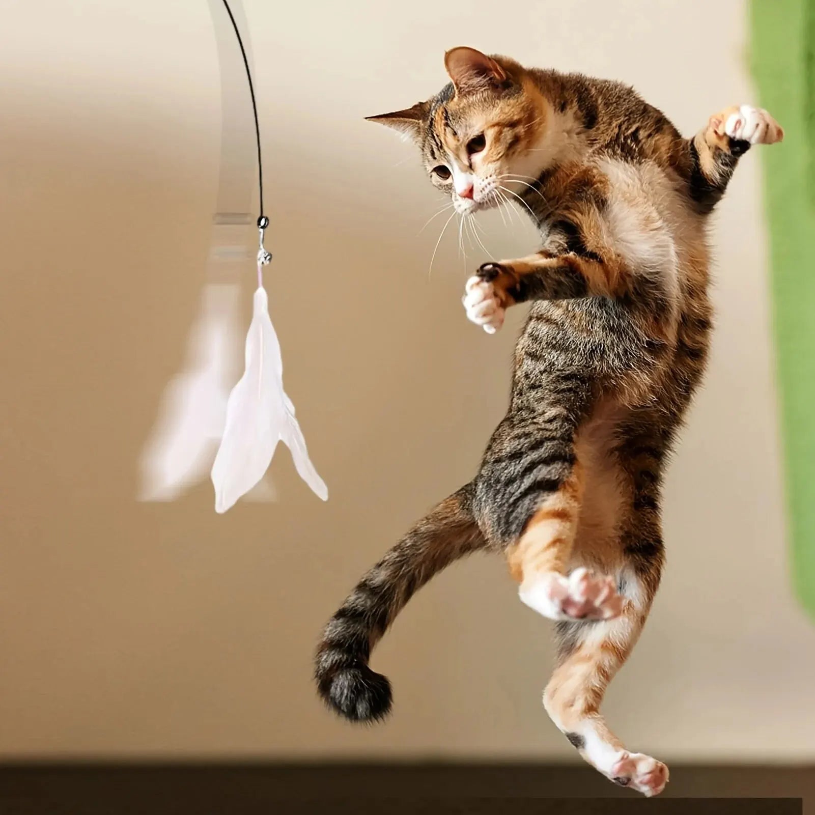Cat Teaser Toy – Interactive Bell & Feather Wand with Long Suction Cup Pole - My Fur Baby