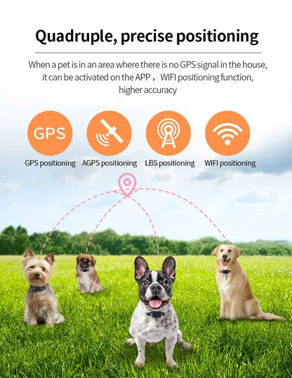 Waterproof Pet GPS Tracker Collar – Real-Time Tracking with No Monthly Fees - My Fur Baby