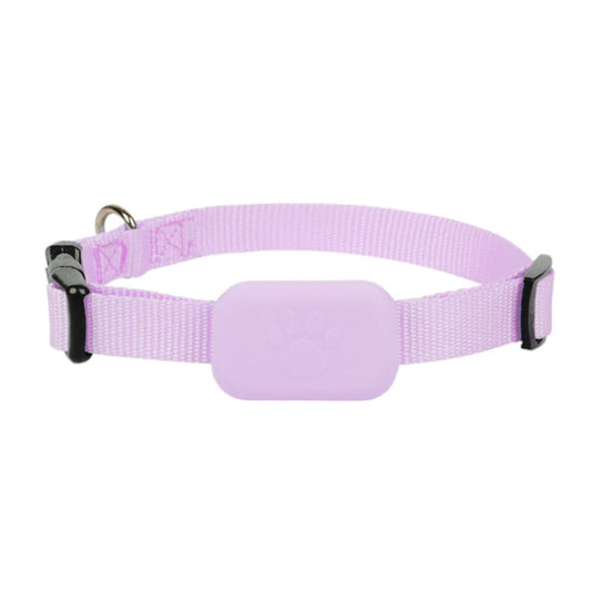 Mini GPS Pet Tracker Collar – Real-Time Tracking for Cats & Dogs - My Fur Baby