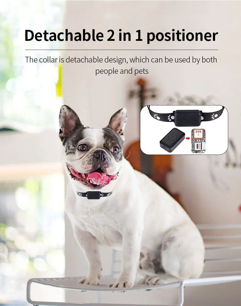 Waterproof Pet GPS Tracker Collar – Real-Time Tracking with No Monthly Fees - My Fur Baby
