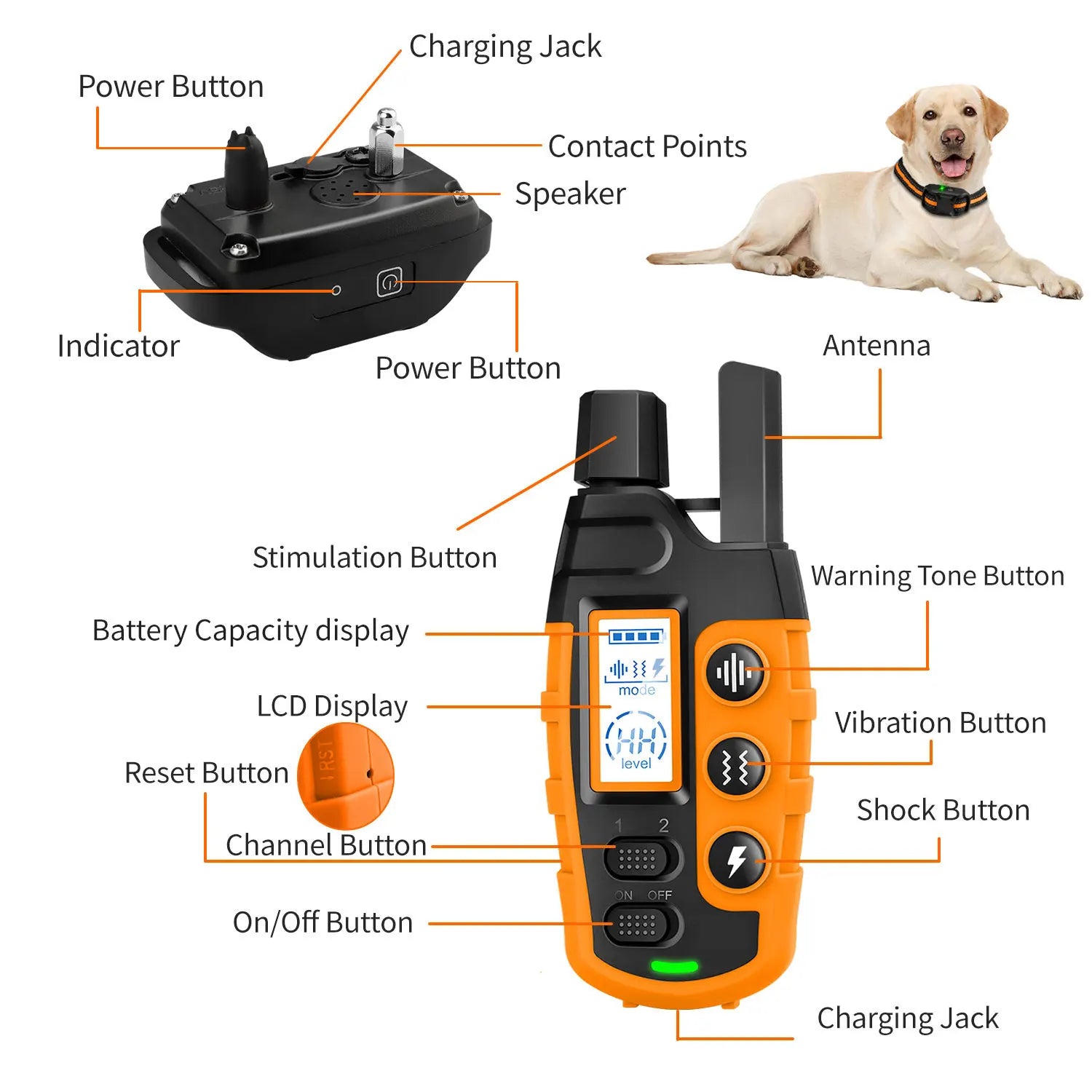 3300Ft Electric Dog Training Collar – Remote Control, Waterproof, Shock & Vibration Modes for Dogs (5–120lbs) - My Fur Baby