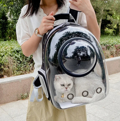 Peek-a-Pet Capsule- Transparent Cat Backpack - My Fur Baby