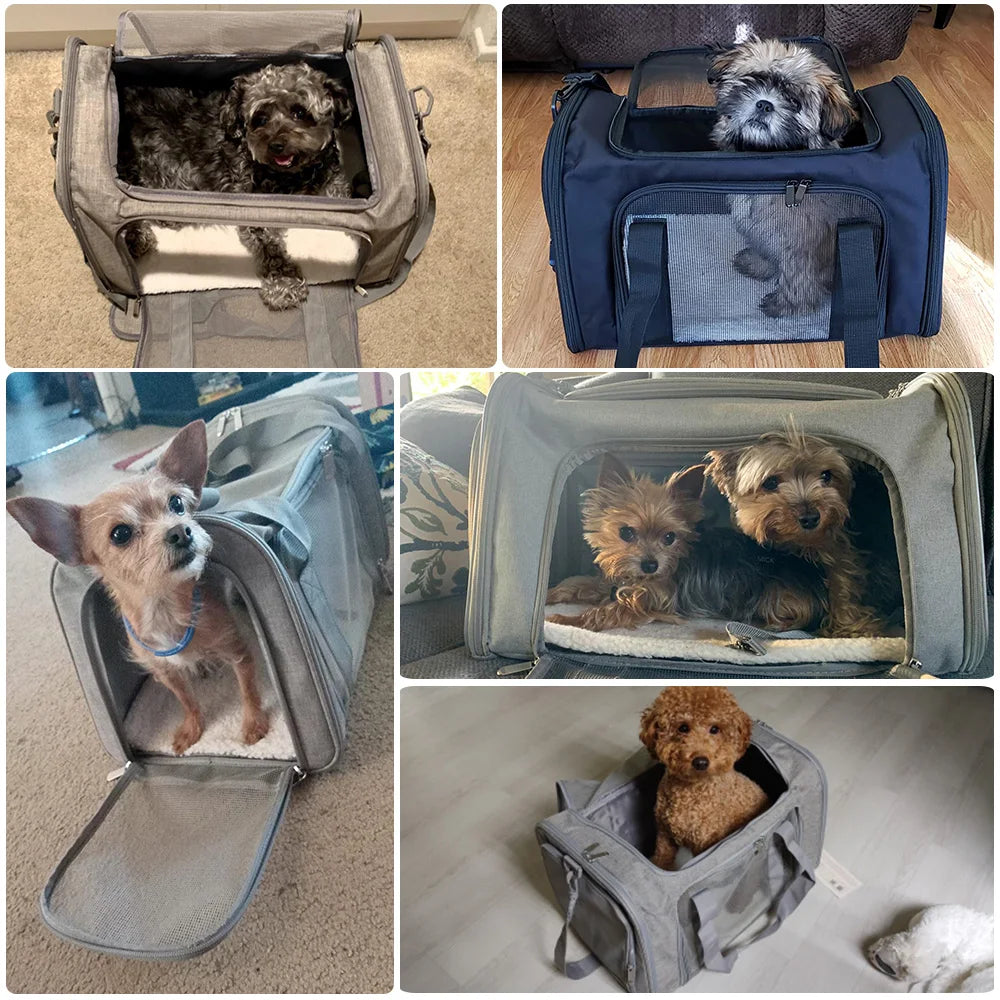 Airline-Approved Soft Dog Carrier Bag – Waterproof, Claw-Proof & Travel-Ready - My Fur Baby