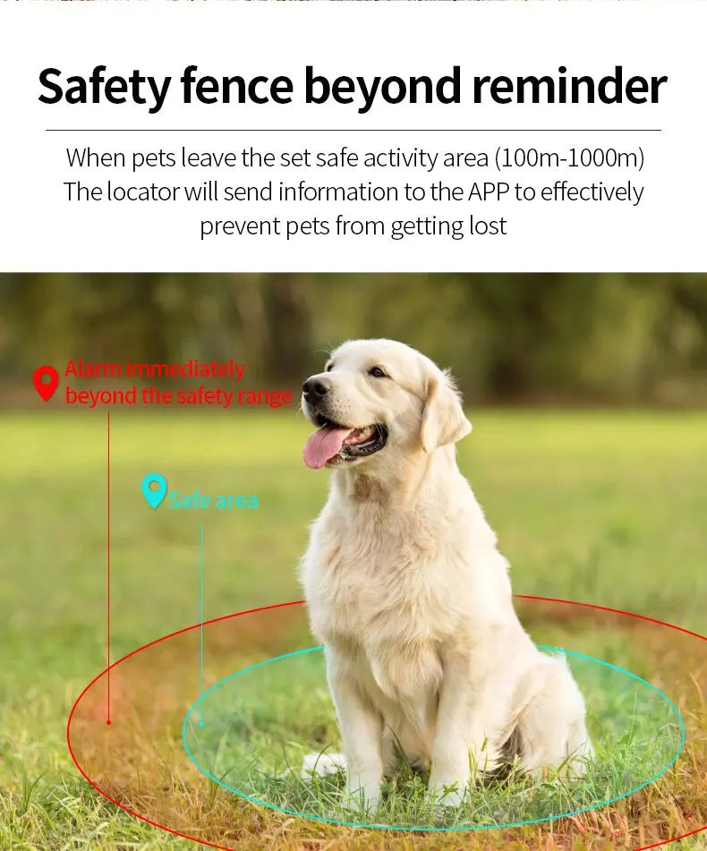 Waterproof Pet GPS Tracker Collar – Real-Time Tracking with No Monthly Fees - My Fur Baby