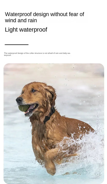 PawPing- Mini Waterproof GPS Pet Tracker Collar - My Fur Baby