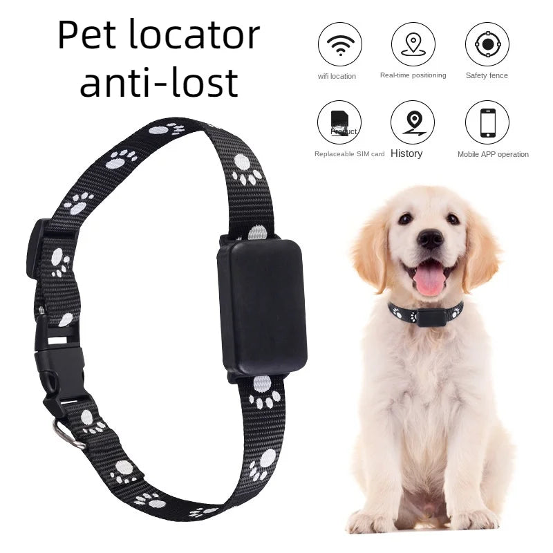 Waterproof Pet GPS Tracker Collar – Real-Time Tracking with No Monthly Fees - My Fur Baby