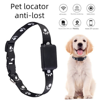 Waterproof Pet GPS Tracker Collar – Real-Time Tracking with No Monthly Fees - My Fur Baby