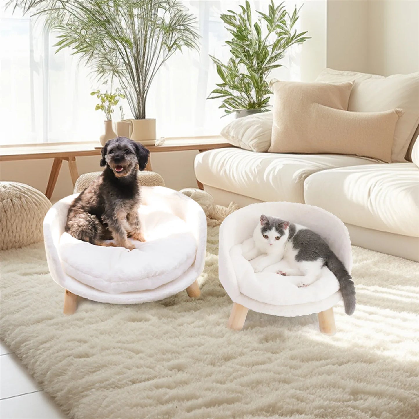Pet Sofa Bed Raised Cat Chair – Small Dog Couch Bed with Removable Cushion - My Fur Baby