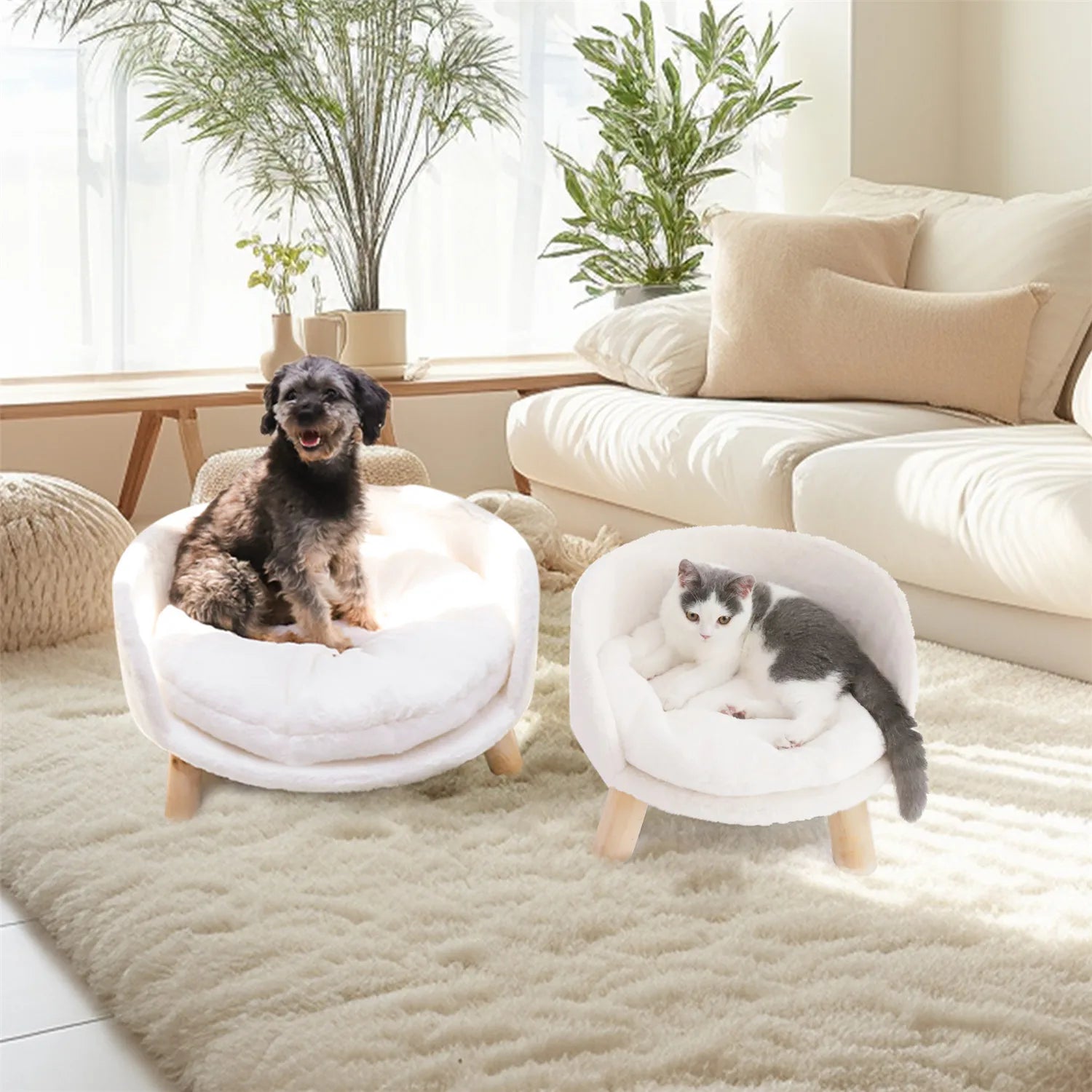 Pet Sofa Bed Raised Cat Chair – Small Dog Couch Bed with Removable Cushion - My Fur Baby